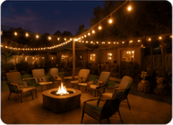 Backyard 1