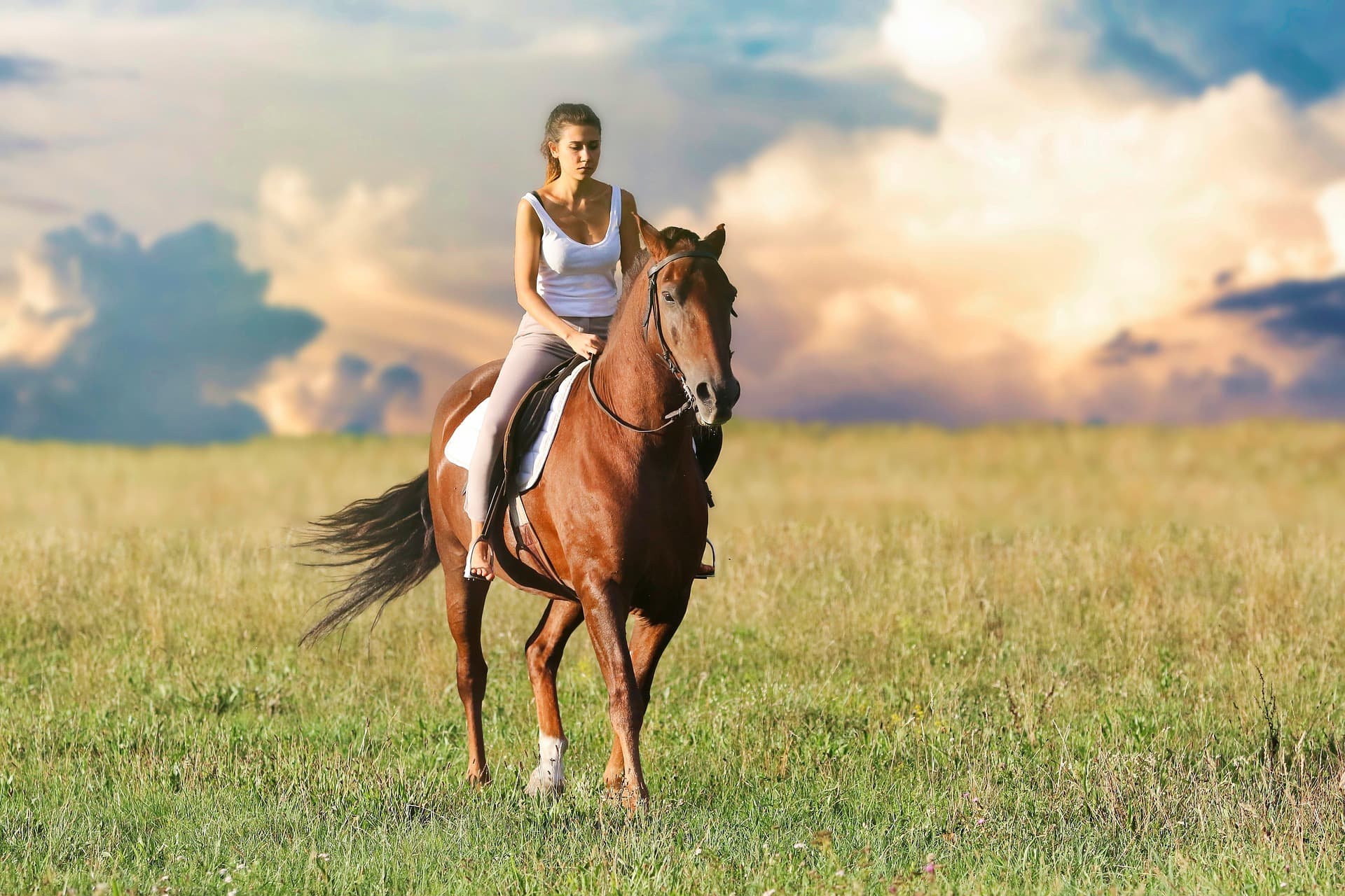 Safety Tips for Renting Out Horses to Guests on Your Property
