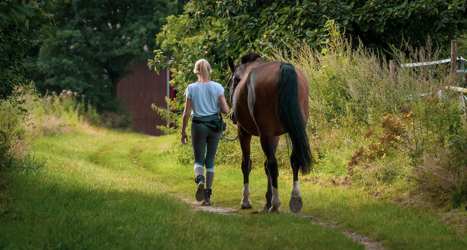 Key Considerations for Offering Horse Riding Experiences in Your Backyard