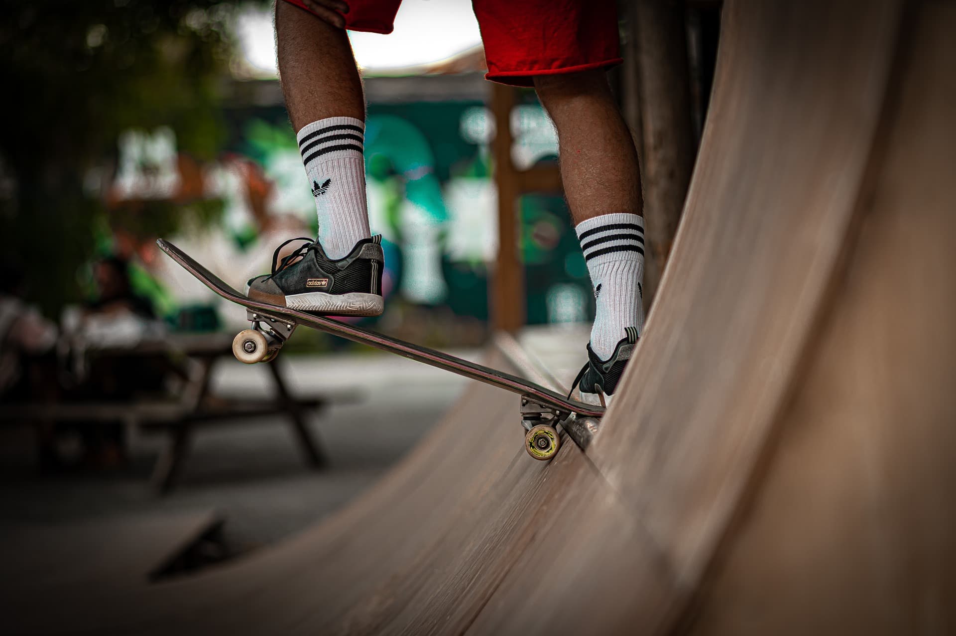 Differences Between Skateboard Ramps & Bowls and Who They Each Appeal to the Most