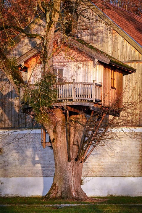 Why Treehouse Rentals are Perfect For Outdoor Adventure Seekers