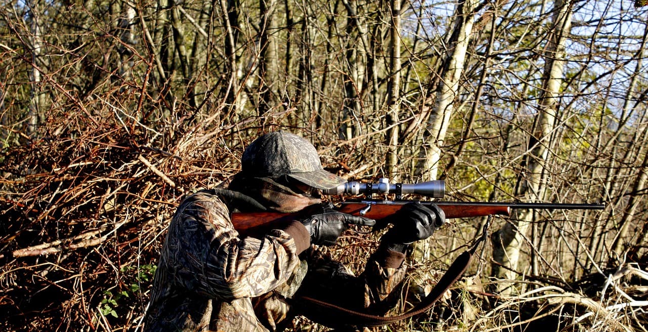 How To Transform Your Property to A Hunter Paradise
