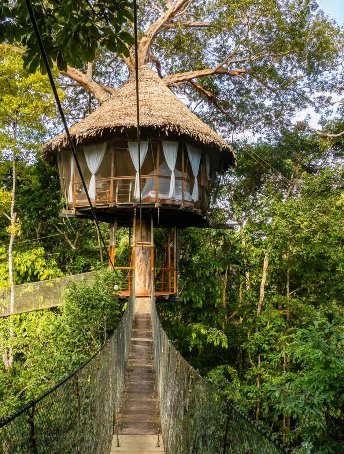 Top Tips For Renting Out A Luxurious Treehouse in Your Backyard