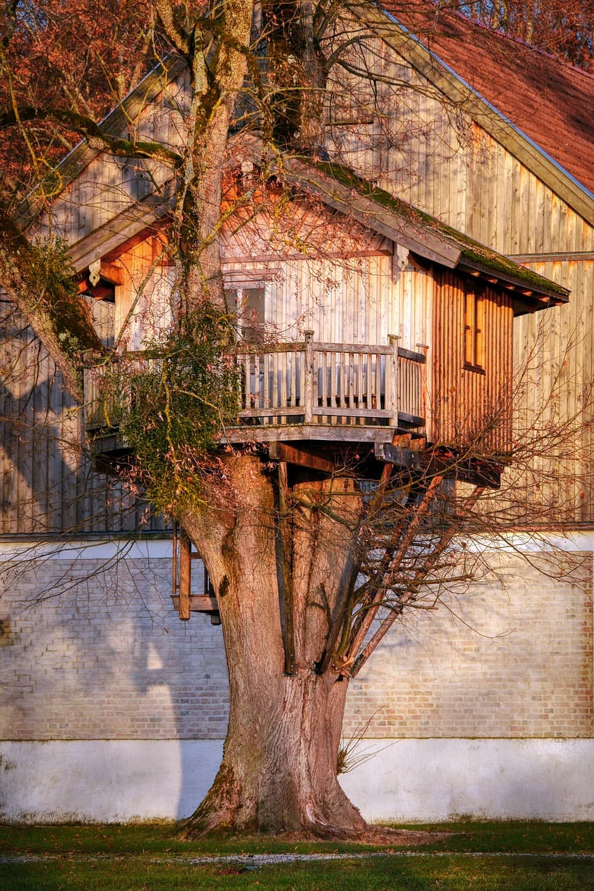 The Different Types of Livable Treehouses That You Can Rent Out In Your Backyard