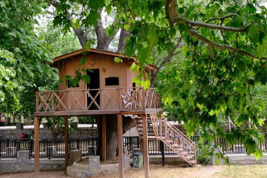 Unique Treehouse Event Ideas for Kids Parties and Romantic Gatherings
