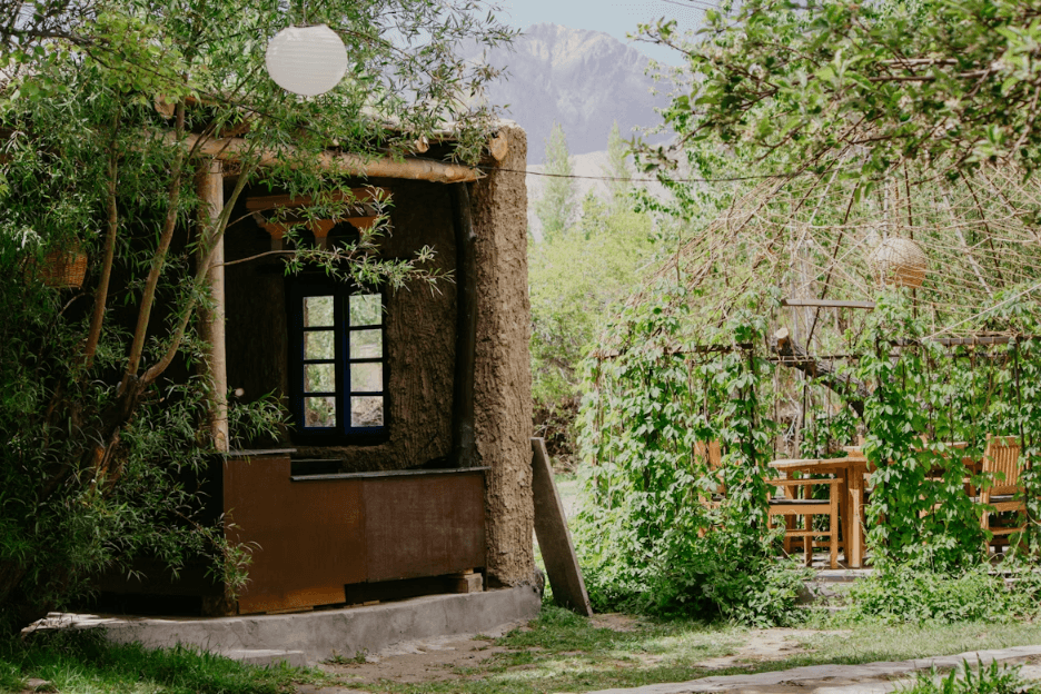 Beyond the Playground: Creating a Magical Treehouse Adventure for Kids
