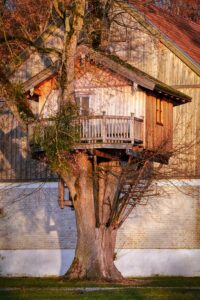 Why Treehouse Rentals are Perfect For Outdoor Adventure Seekers
