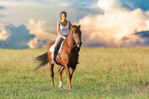 Safety Tips for Renting Out Horses to Guests on Your Property
