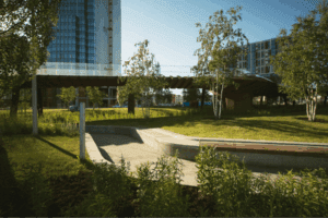 Top 5 Benefits of Professional Commercial Landscaping Across the USA