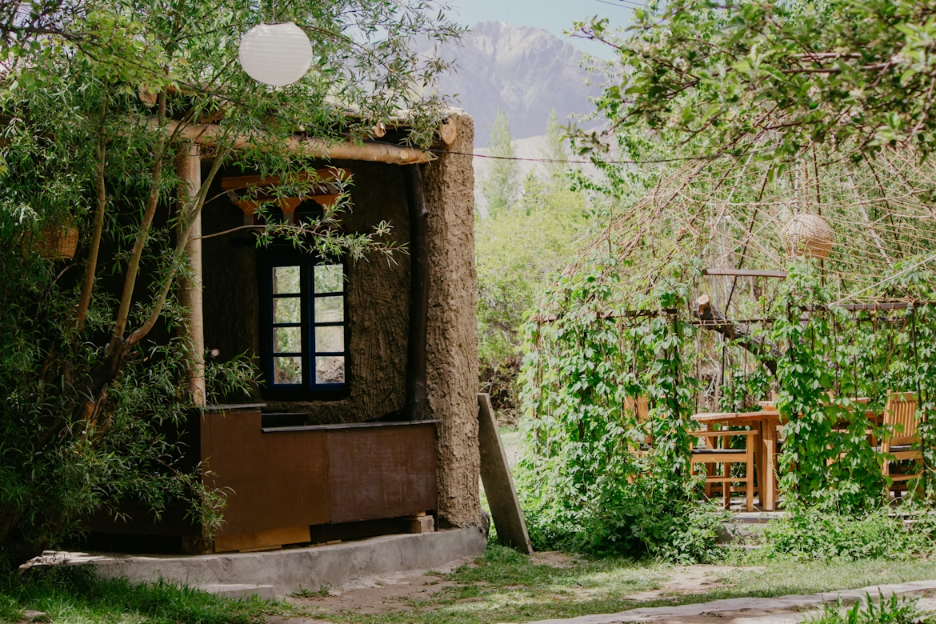 treehouse adventures