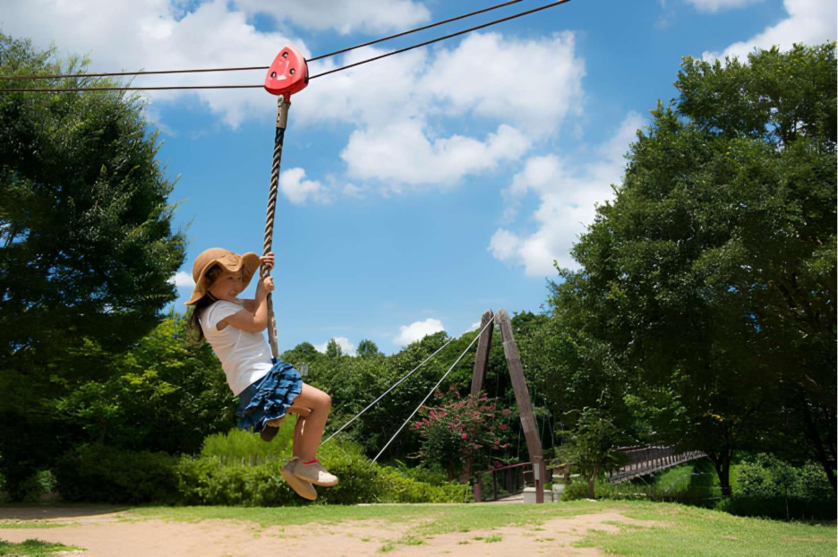 Backyard Zip Line