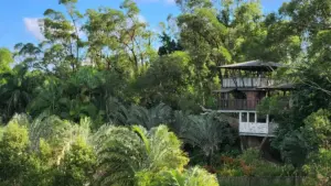How to Decorate a Treehouse for a Magical Party or Cozy Retreat