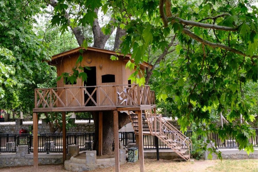 treehouse rental for events 